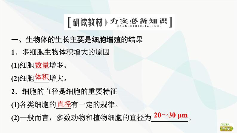 2024届苏教版高考生物一轮复习细胞增殖课件04