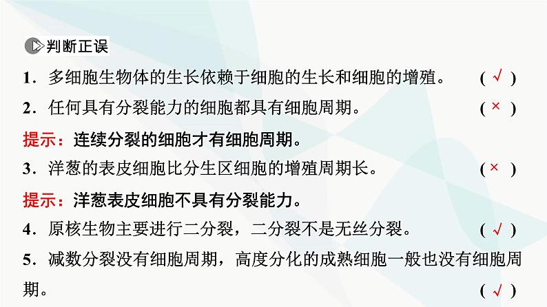 2024届苏教版高考生物一轮复习细胞增殖课件08