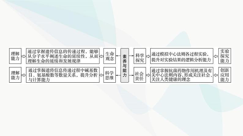 2024届苏教版高考生物一轮复习遗传信息控制生物的性状课件第2页