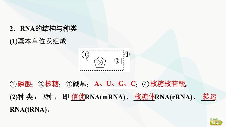 2024届苏教版高考生物一轮复习遗传信息控制生物的性状课件第5页