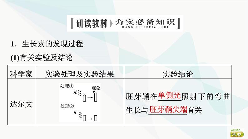 2024届苏教版高考生物一轮复习植物生命活动的调节课件第4页