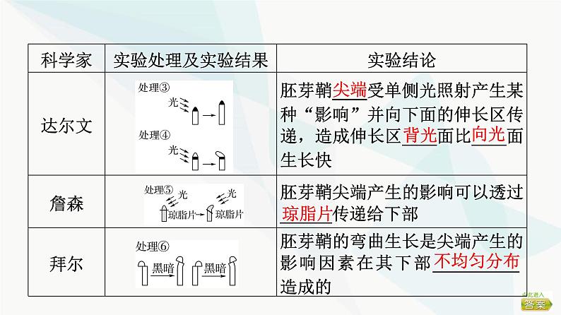 2024届苏教版高考生物一轮复习植物生命活动的调节课件第5页