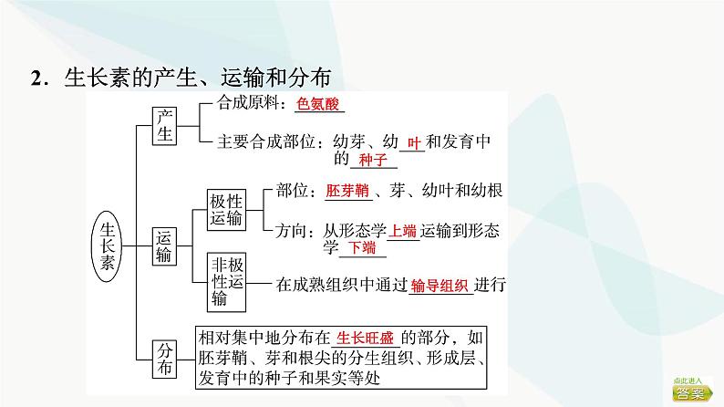 2024届苏教版高考生物一轮复习植物生命活动的调节课件第7页