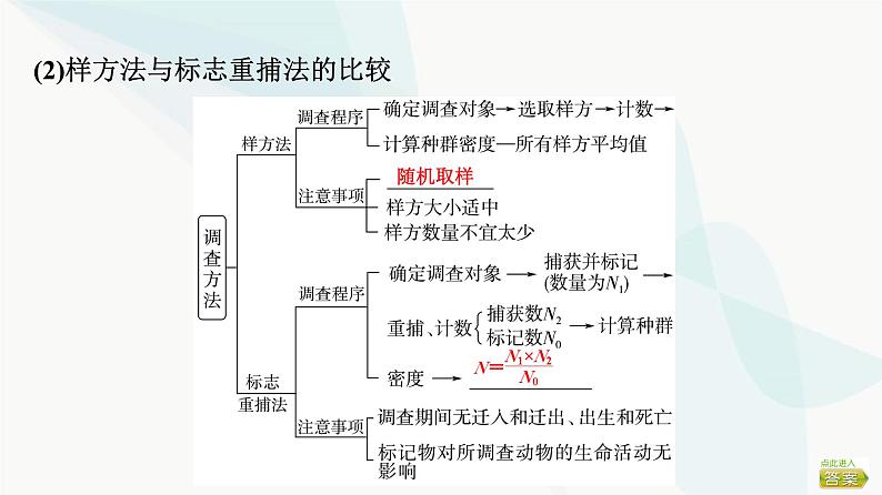 2024届苏教版高考生物一轮复习种群课件05