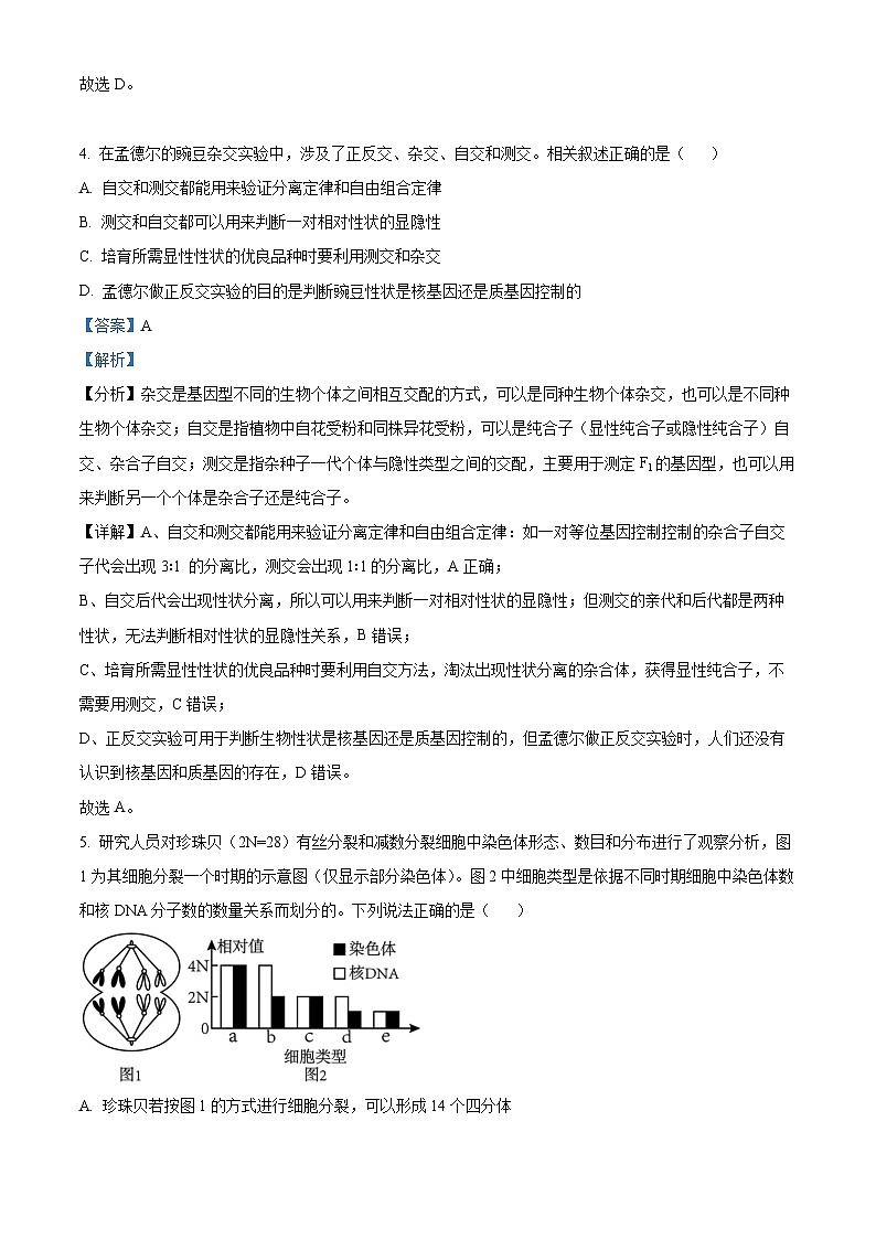 四川省绵阳南山中学2022-2023学年高一生物下学期热身考试试题（Word版附解析）03