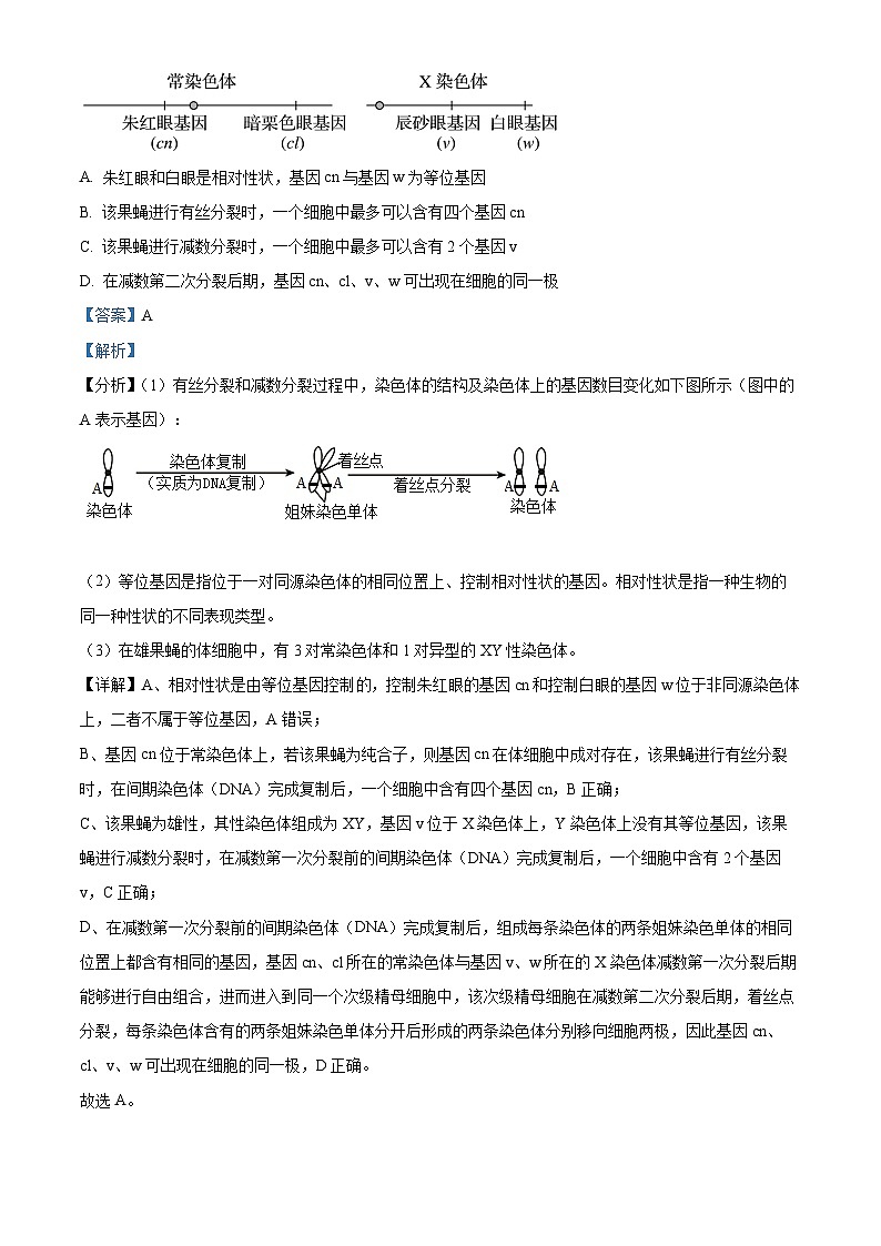 四川省绵阳南山中学2022-2023学年高一生物下学期6月月考试题（Word版附解析）02