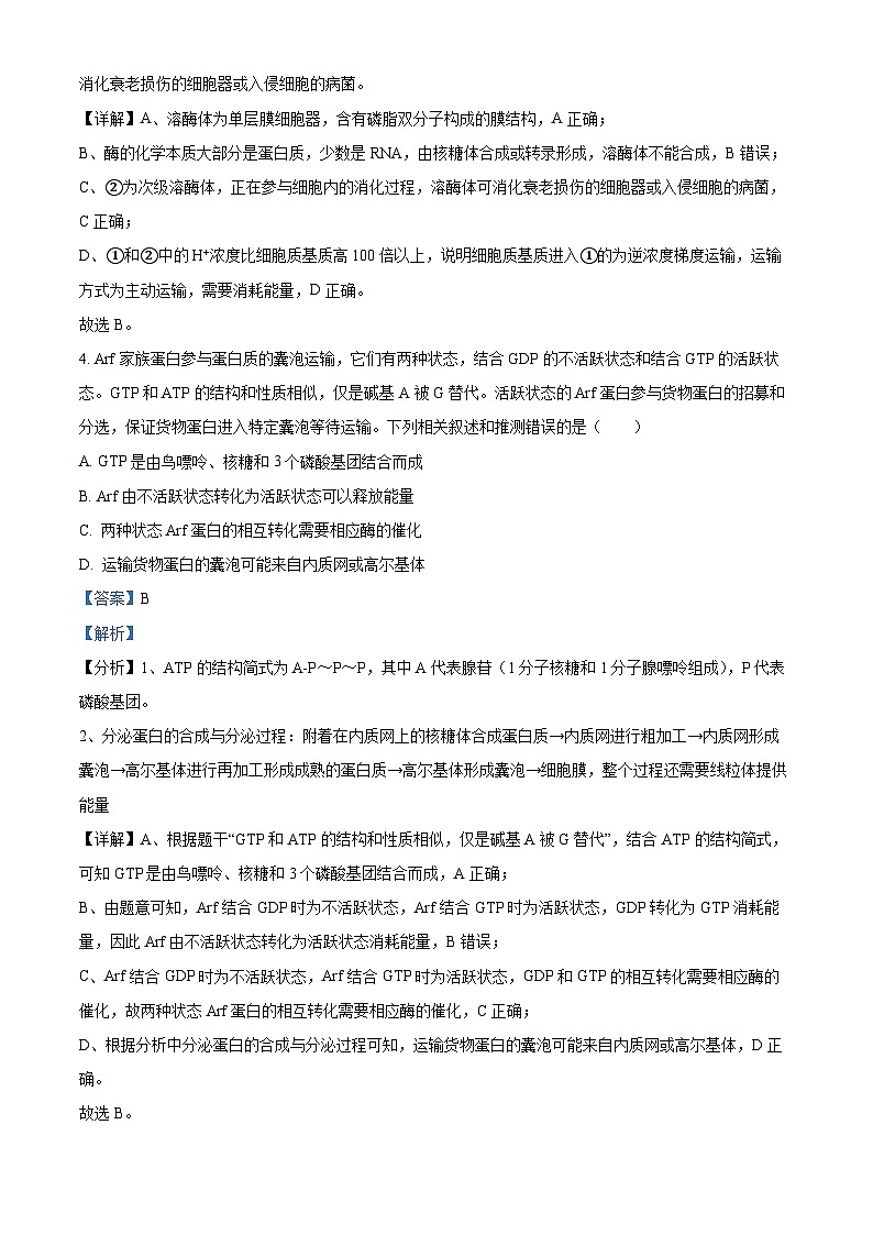 重庆市育才中学2022-2023学年高三生物下学期开学考试试题（Word版附解析）03
