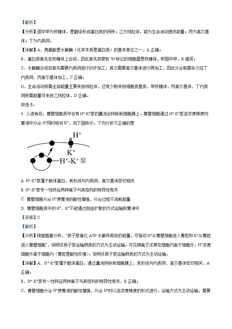 精品解析：陕西省安康市2022-2023学年高一下学期期末生物试题（解析版）第3页