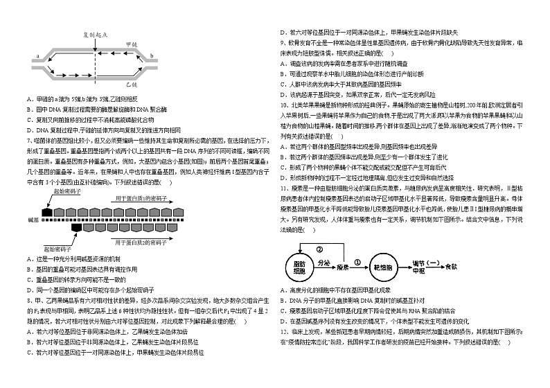 +山东省威海市文登第一中学2022-2023学年高二下期6月阶段检测生物试题第2页