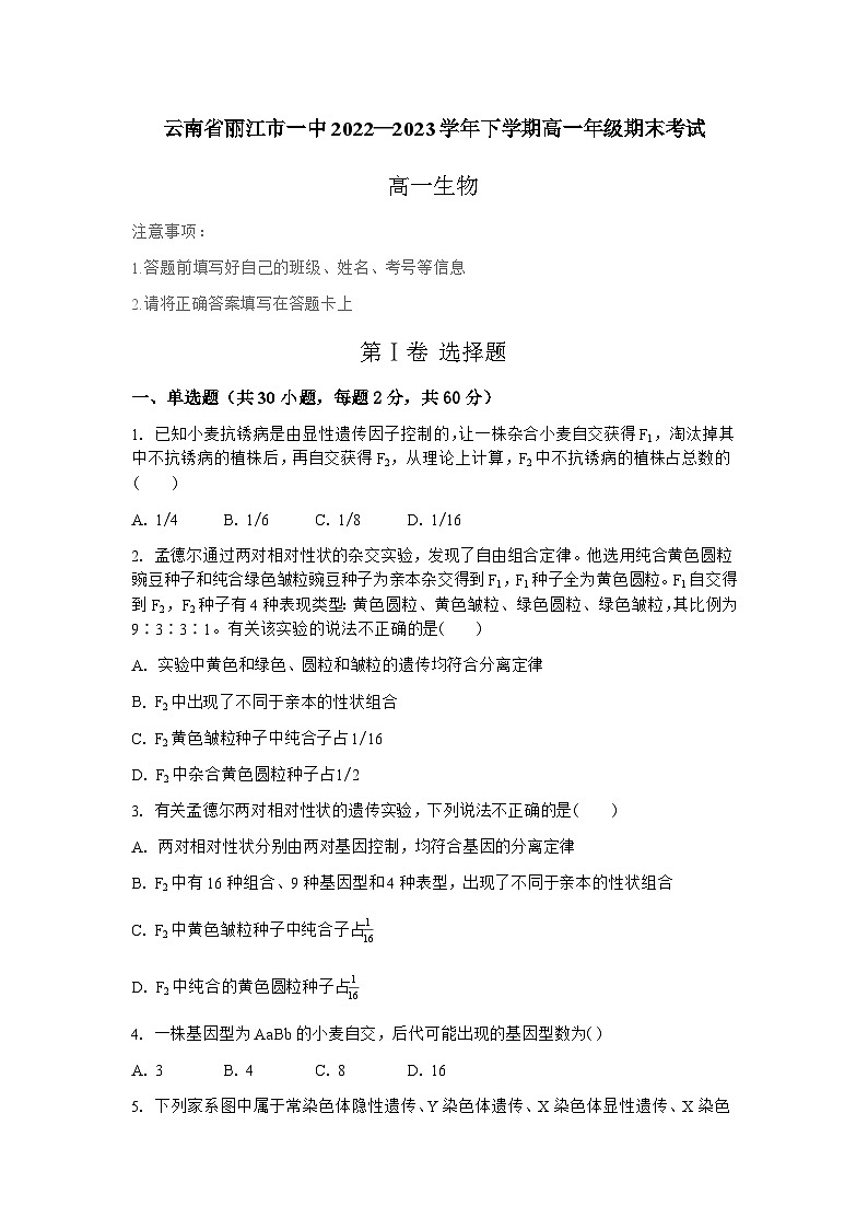 云南省丽江市第一高级中学2022—2023学年高一下学期期末考试生物试题01