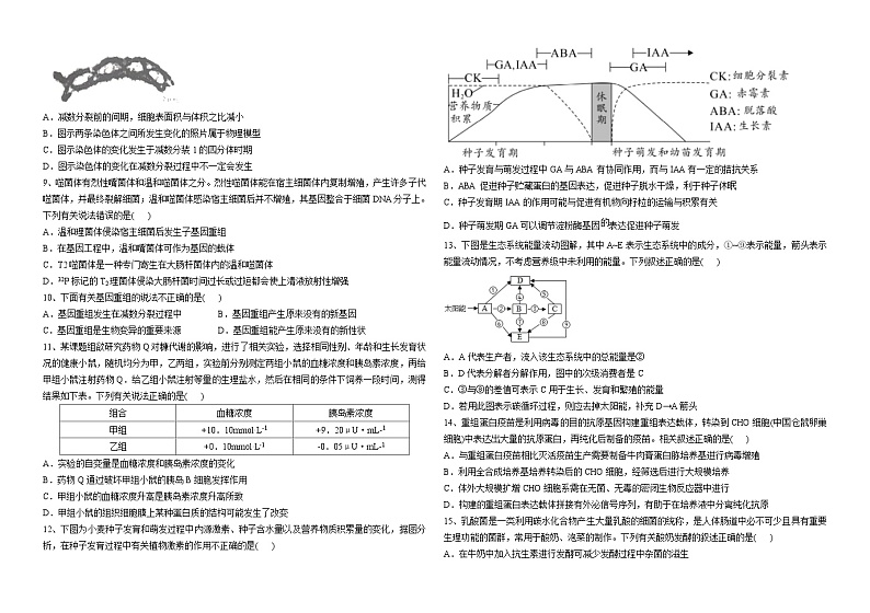 +山东省济南市莱芜第一中学2022-2023学年高二下学期阶段检测（6月）生物试题第2页