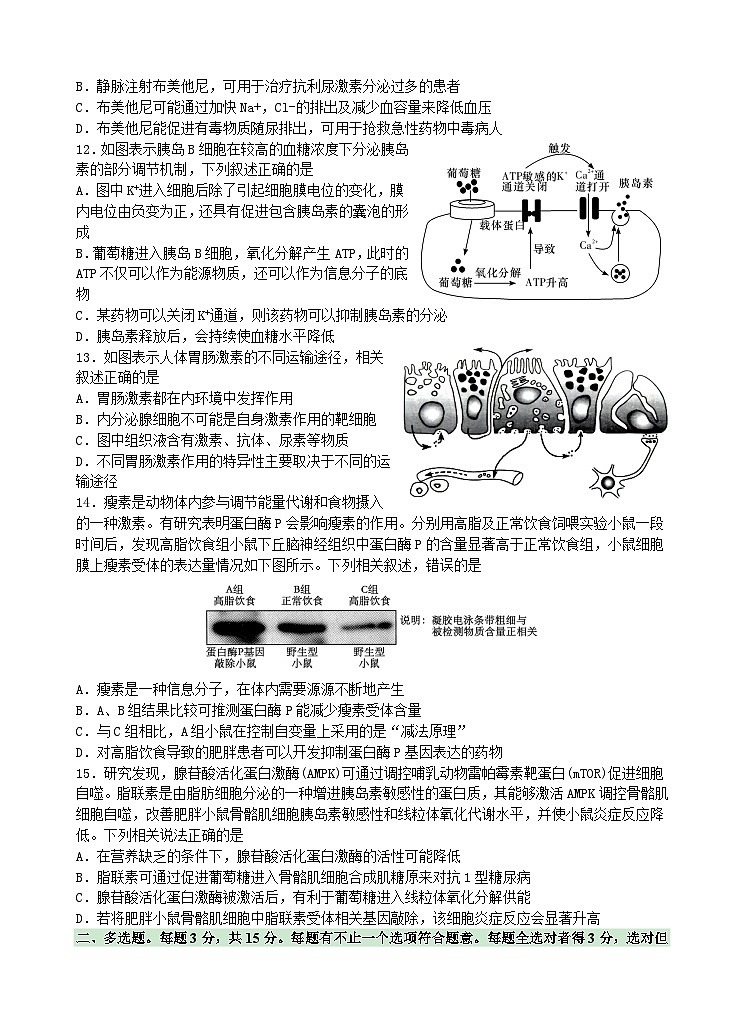江苏省华罗庚中学2022-2023学年高一下学期期末生物试卷03