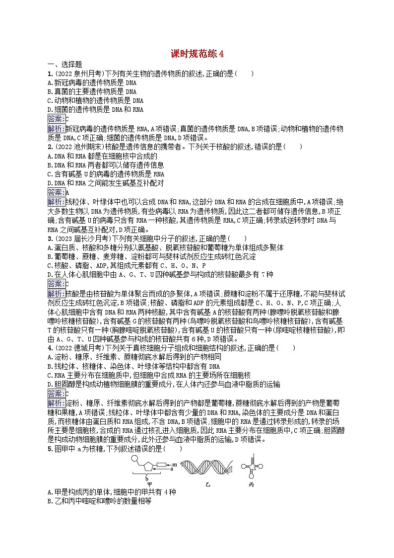 适用于新教材2024版高考生物一轮总复习课时规范练4核酸生物大分子的多样性及判定新人教版第1页