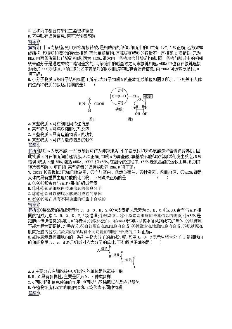 适用于新教材2024版高考生物一轮总复习课时规范练4核酸生物大分子的多样性及判定新人教版第2页