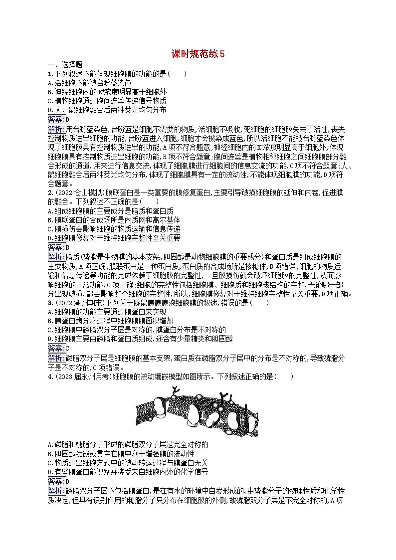 适用于新教材2024版高考生物一轮总复习课时规范练5细胞膜新人教版第1页