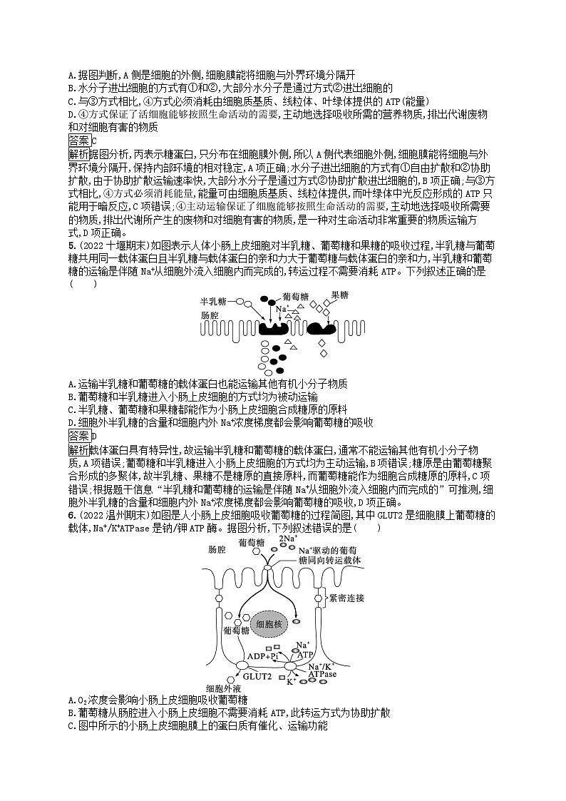 适用于新教材2024版高考生物一轮总复习课时规范练9物质出入细胞的方式及影响因素新人教版第2页