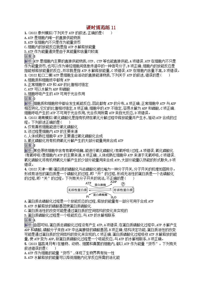 适用于新教材2024版高考生物一轮总复习课时规范练11细胞的能量“货币”ATP新人教版01