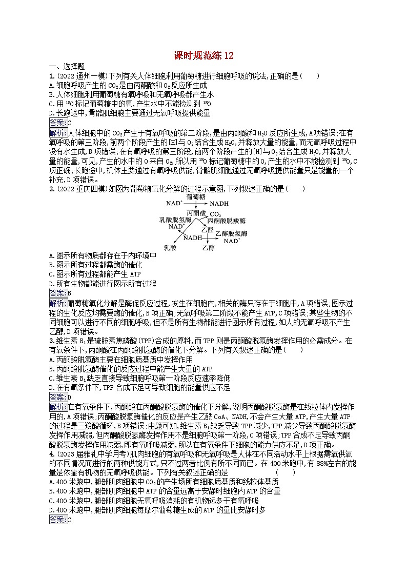 适用于新教材2024版高考生物一轮总复习课时规范练12细胞呼吸新人教版01