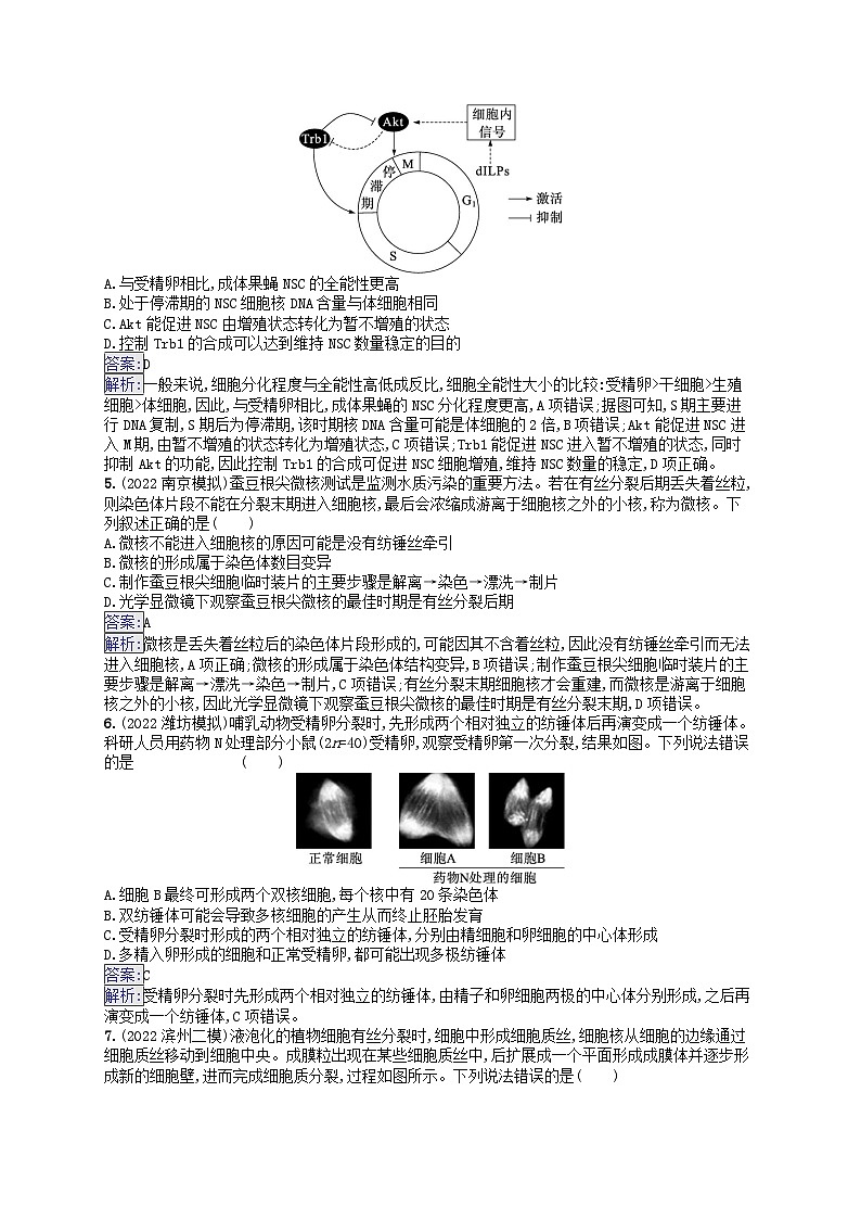 适用于新教材2024版高考生物一轮总复习课时规范练16细胞的增殖新人教版第2页