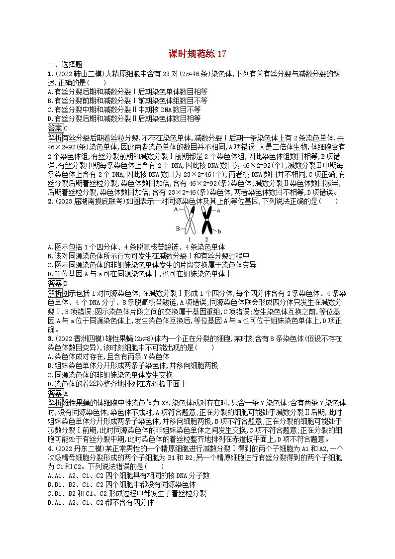 适用于新教材2024版高考生物一轮总复习课时规范练17减数分裂和受精作用新人教版01