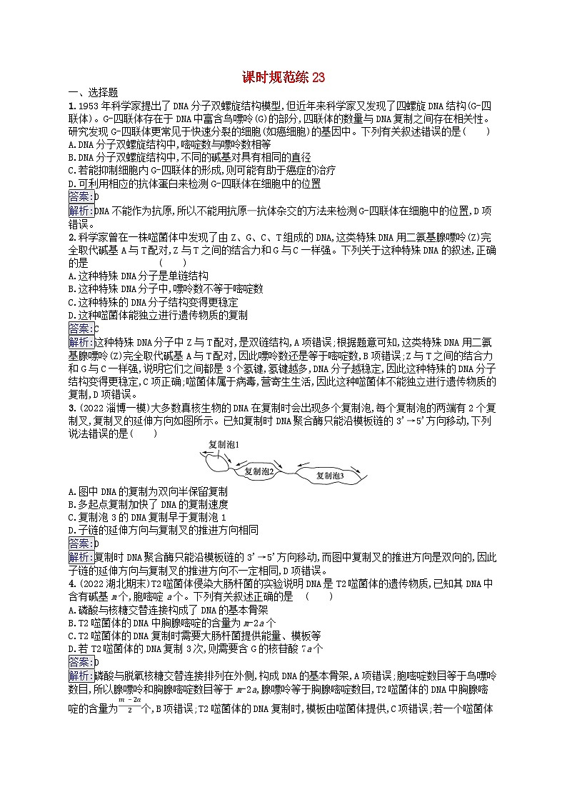 适用于新教材2024版高考生物一轮总复习课时规范练23DNA分子的结构和复制基因的本质新人教版01