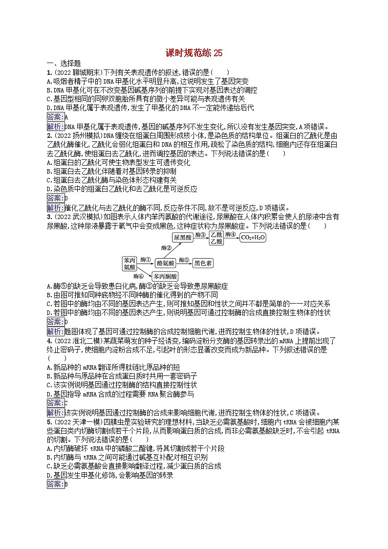 适用于新教材2024版高考生物一轮总复习课时规范练25基因表达和性状的关系新人教版第1页
