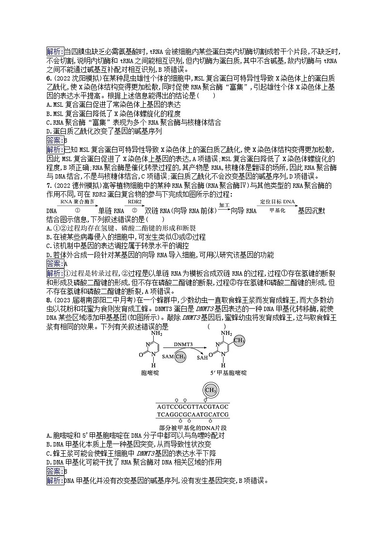 适用于新教材2024版高考生物一轮总复习课时规范练25基因表达和性状的关系新人教版第2页