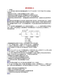 适用于新教材2024版高考生物一轮总复习课时规范练26基因突变基因重组新人教版