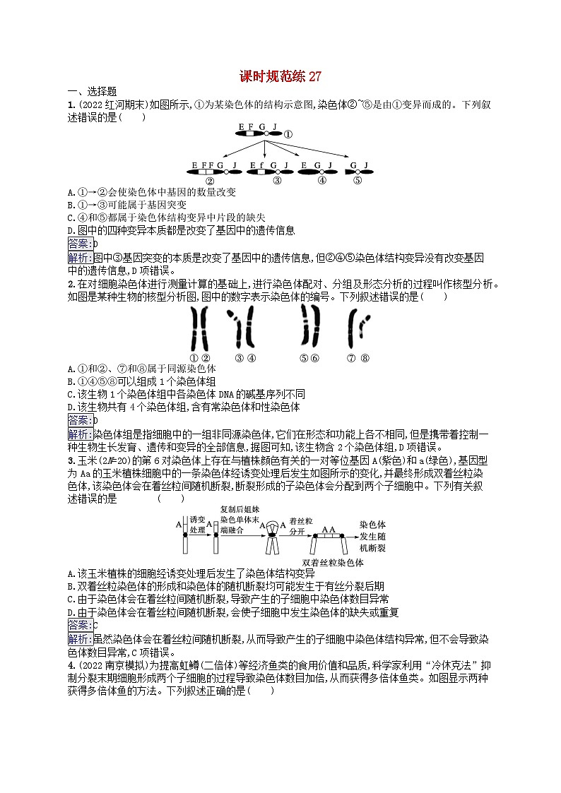 适用于新教材2024版高考生物一轮总复习课时规范练27染色体变异与育种新人教版第1页