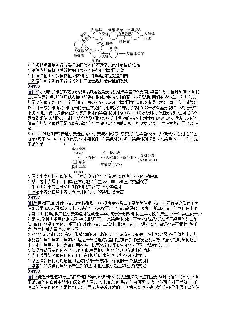 适用于新教材2024版高考生物一轮总复习课时规范练27染色体变异与育种新人教版第2页