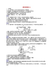 适用于新教材2024版高考生物一轮总复习课时规范练34免疫调节新人教版