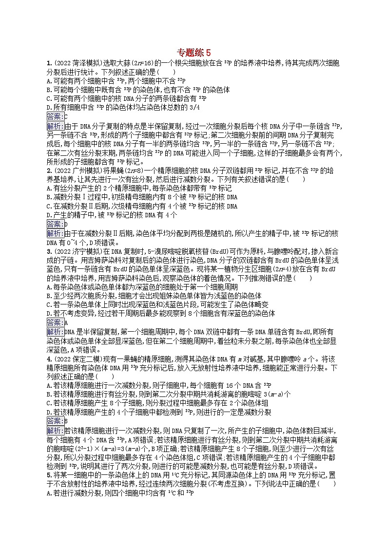 适用于新教材2024版高考生物一轮总复习专题练5新人教版第1页
