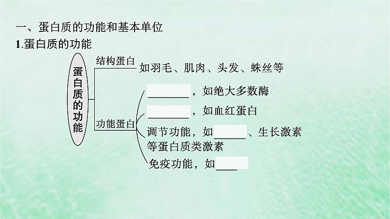 适用于新教材2024版高考生物一轮总复习第1单元细胞的概述细胞的分子组成第3讲蛋白质的结构与功能课件新人教版05