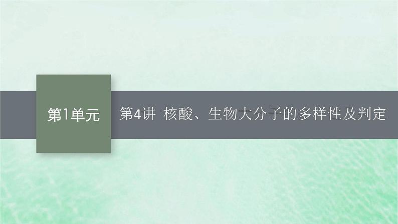 适用于新教材2024版高考生物一轮总复习第1单元细胞的概述细胞的分子组成第4讲核酸生物大分子的多样性及判定课件新人教版第1页