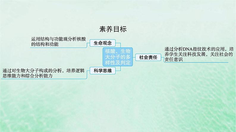 适用于新教材2024版高考生物一轮总复习第1单元细胞的概述细胞的分子组成第4讲核酸生物大分子的多样性及判定课件新人教版第2页