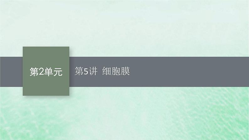 适用于新教材2024版高考生物一轮总复习第2单元细胞的基本结构及物质运输第5讲细胞膜课件新人教版第1页