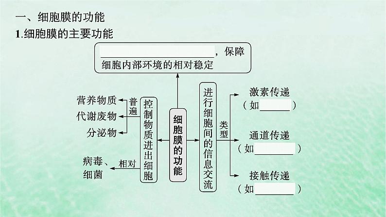 适用于新教材2024版高考生物一轮总复习第2单元细胞的基本结构及物质运输第5讲细胞膜课件新人教版第5页