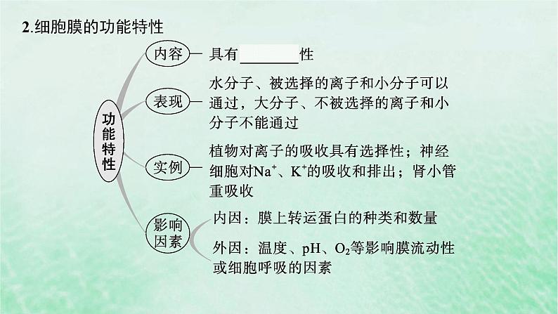 适用于新教材2024版高考生物一轮总复习第2单元细胞的基本结构及物质运输第5讲细胞膜课件新人教版第6页