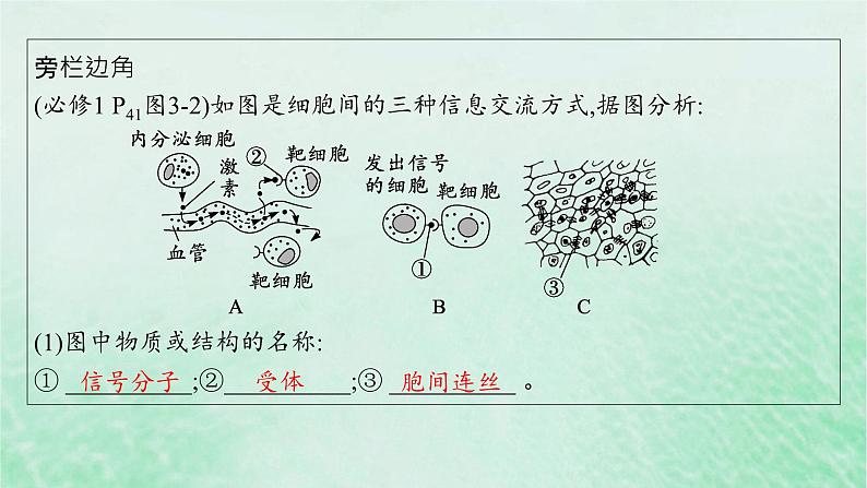 适用于新教材2024版高考生物一轮总复习第2单元细胞的基本结构及物质运输第5讲细胞膜课件新人教版第8页