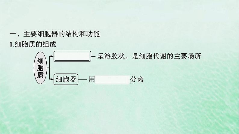 适用于新教材2024版高考生物一轮总复习第2单元细胞的基本结构及物质运输第6讲细胞器与生物膜系统课件新人教版第5页