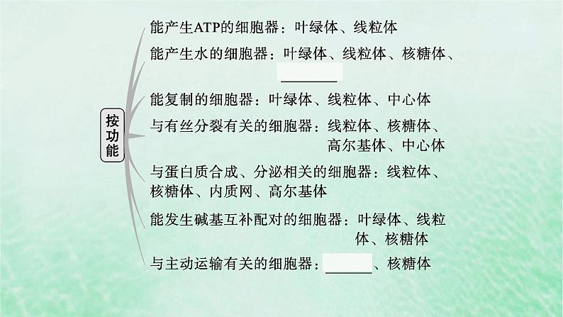 适用于新教材2024版高考生物一轮总复习第2单元细胞的基本结构及物质运输第6讲细胞器与生物膜系统课件新人教版第8页