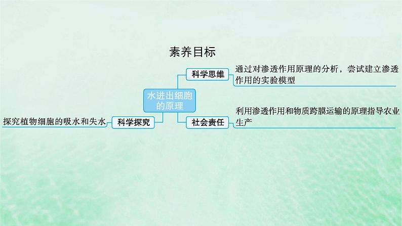 适用于新教材2024版高考生物一轮总复习第2单元细胞的基本结构及物质运输第8讲水进出细胞的原理课件新人教版02