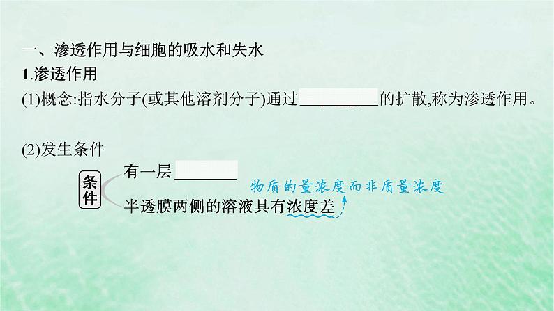 适用于新教材2024版高考生物一轮总复习第2单元细胞的基本结构及物质运输第8讲水进出细胞的原理课件新人教版05