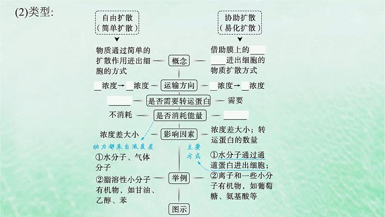 适用于新教材2024版高考生物一轮总复习第2单元细胞的基本结构及物质运输第9讲物质出入细胞的方式及影响因素课件新人教版第6页