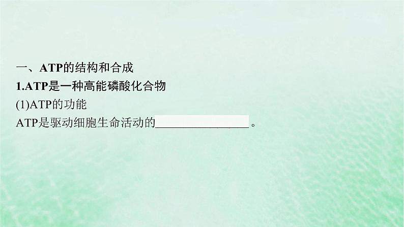 适用于新教材2024版高考生物一轮总复习第3单元细胞的代谢第11讲细胞的能量“货币”ATP课件新人教版05