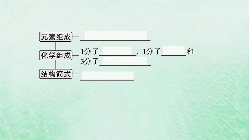 适用于新教材2024版高考生物一轮总复习第3单元细胞的代谢第11讲细胞的能量“货币”ATP课件新人教版07