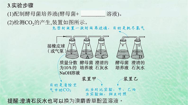 适用于新教材2024版高考生物一轮总复习第3单元细胞的代谢第12讲细胞呼吸课件新人教版07