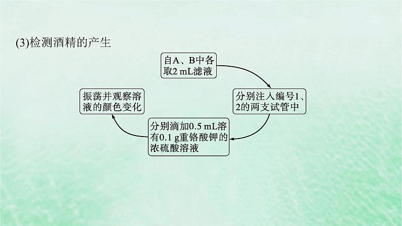 适用于新教材2024版高考生物一轮总复习第3单元细胞的代谢第12讲细胞呼吸课件新人教版08