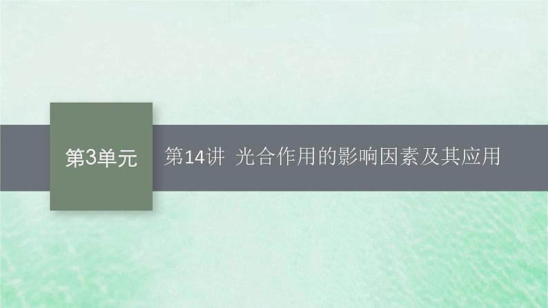 适用于新教材2024版高考生物一轮总复习第3单元细胞的代谢第14讲光合作用的影响因素及其应用课件新人教版第1页