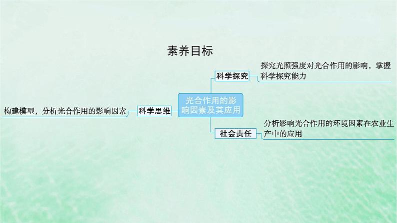 适用于新教材2024版高考生物一轮总复习第3单元细胞的代谢第14讲光合作用的影响因素及其应用课件新人教版第2页